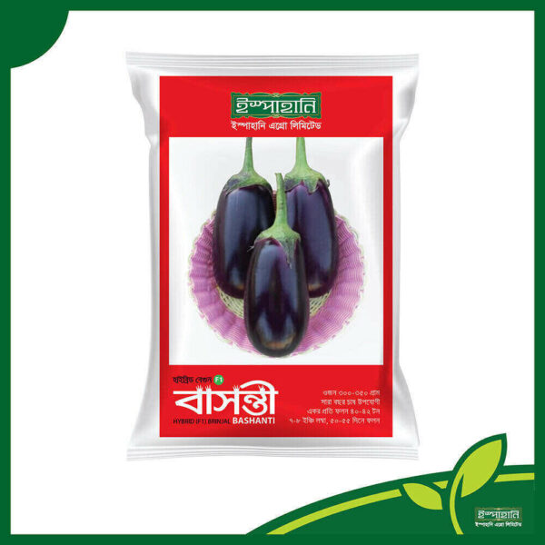 হাইব্রিড বেগুন বীজ - বাসন্তী । Hybrid Brinjal Seeds - Bashanti