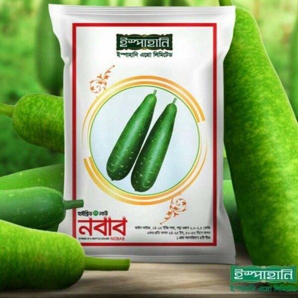 হাইব্রিড লাউ বীজ - নবাব