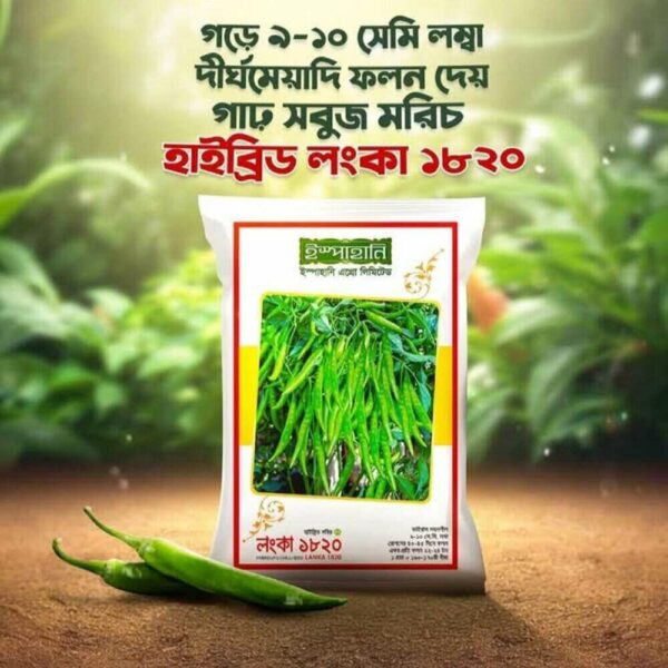 হাইব্রিড মরিচ বীজ - লংকা ১৮২০
