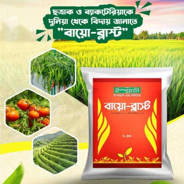 বায়ো-ব্লাস্ট