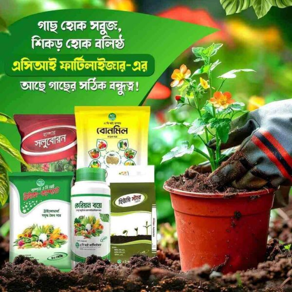 বর্ষাকালীন গাছের যত্নে ছাদ কৃষি প্যাকেজ - ১