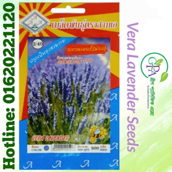 Vera Lavender Seeds