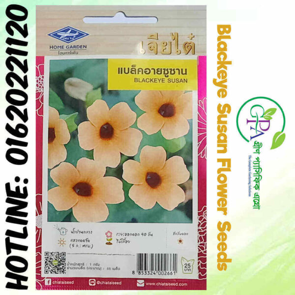 Black Eyed Susan Flower Seeds