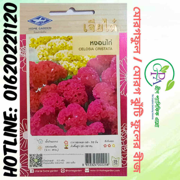 Celosia Cristata Flower Seeds (মোরগ ঝুঁটি / মোরগ ফুলের বীজ)