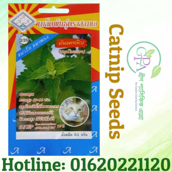 CATNIP SEEDS