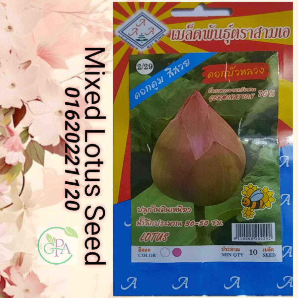 Mixed Lotus Flower Seeds