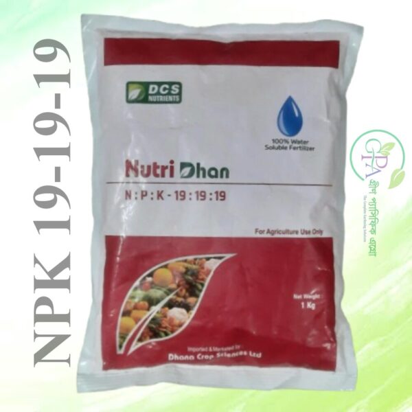 NPK 19-19-19 (Water Soluble Fertilizer)