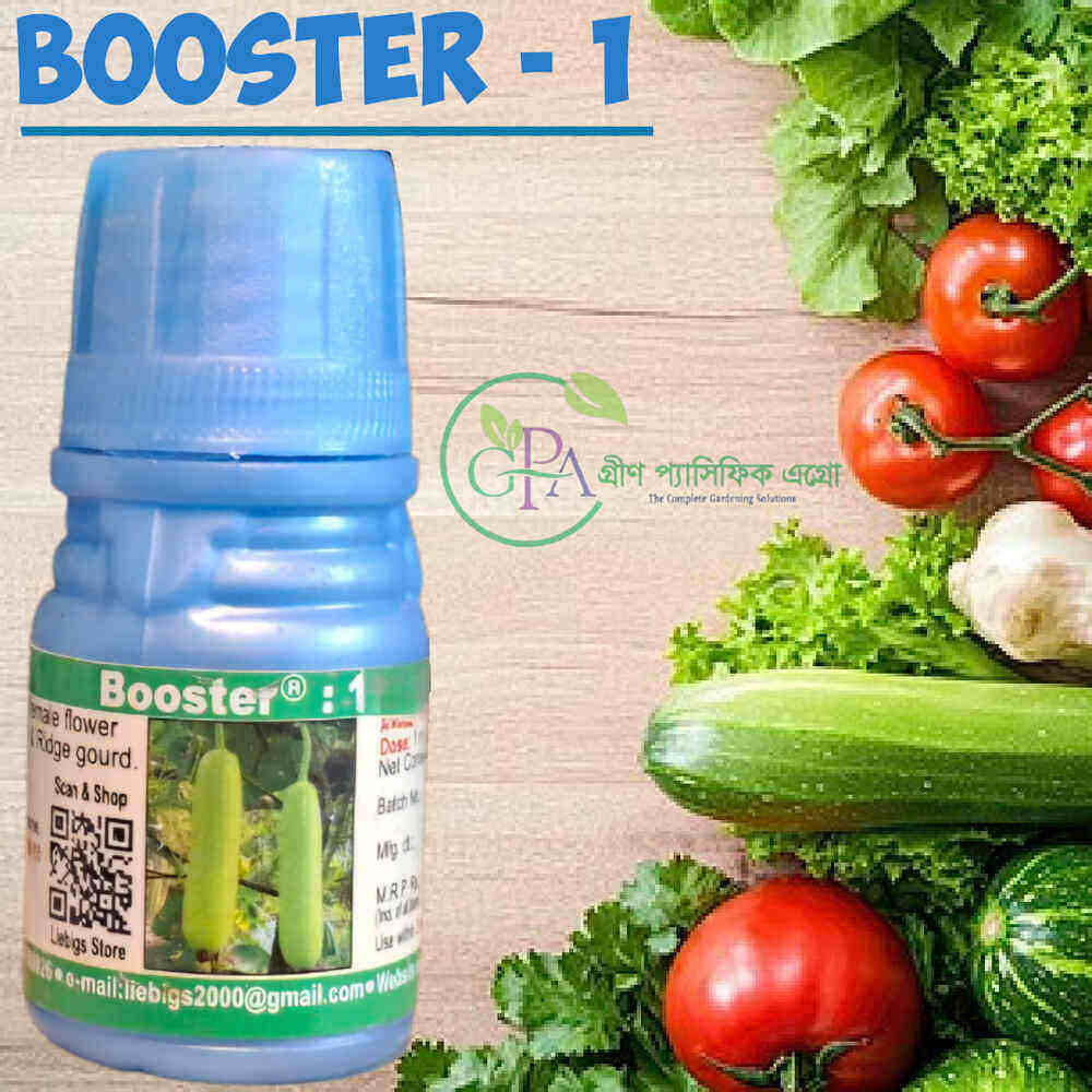 Booster 1