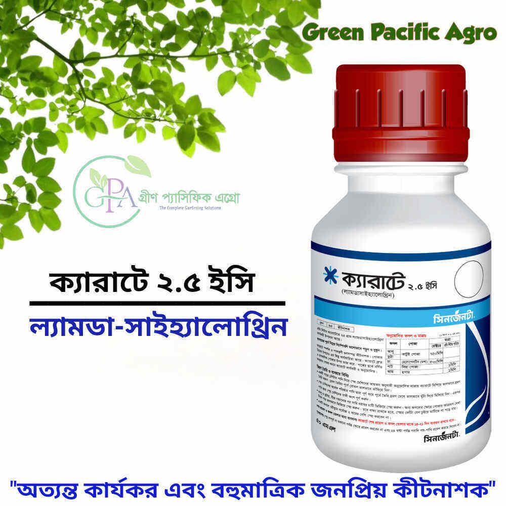 ক্যারাটে