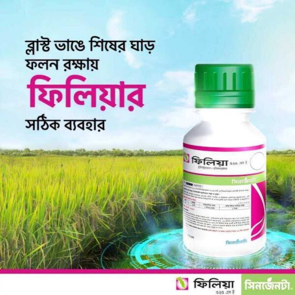 Filia 525 SE (ফিলিয়া ৫২৫ এস ই) - 50ml
