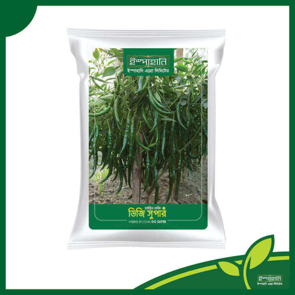 Hybrid Chili DG Super (হাইব্রিড মরিচ - ডিজি সুপার)