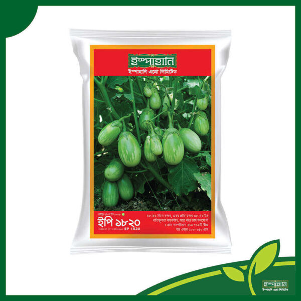 Hybrid Brinjal EP 1820 (হাইব্রিড বেগুন ইপি - ১৮২০)