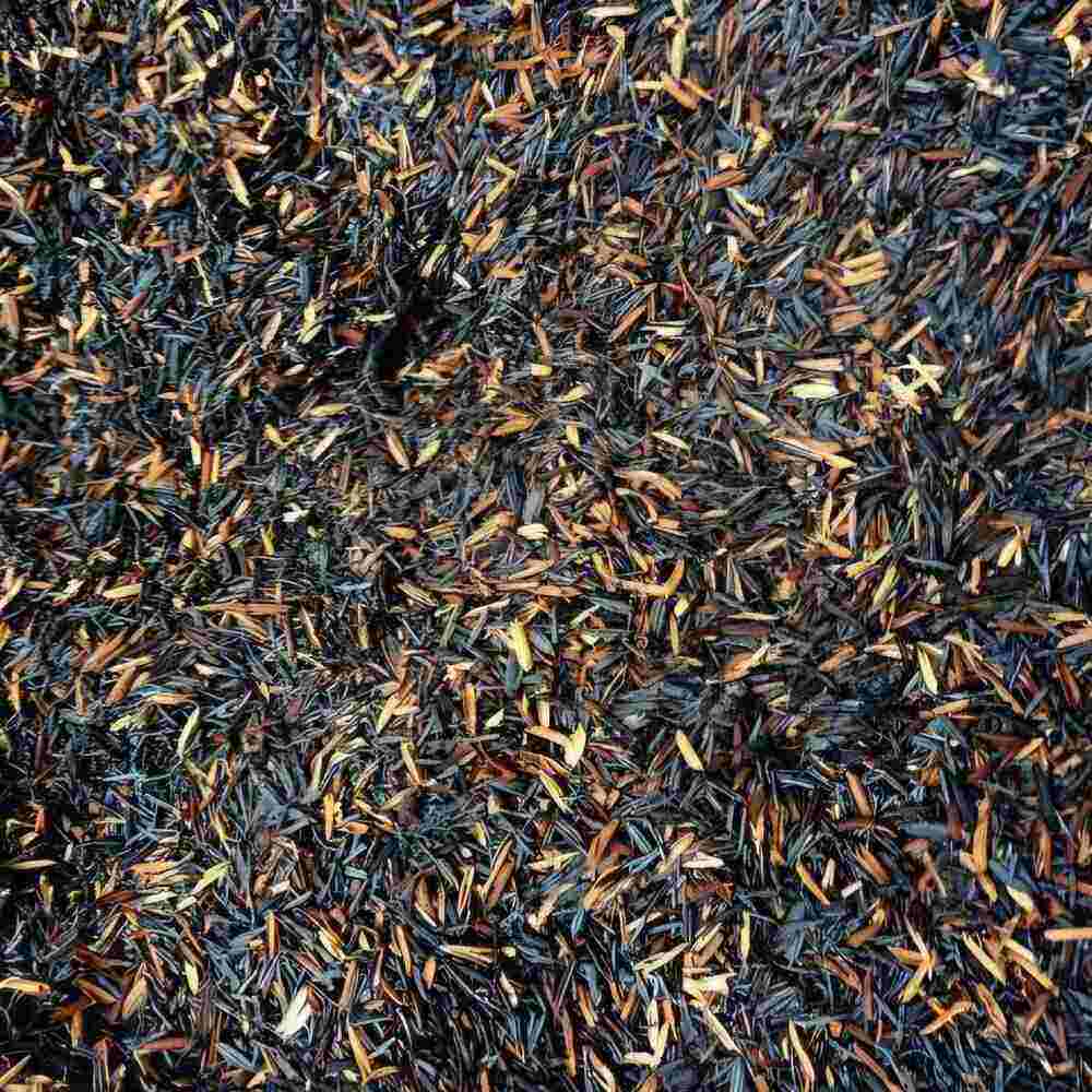 ধানের চিটা