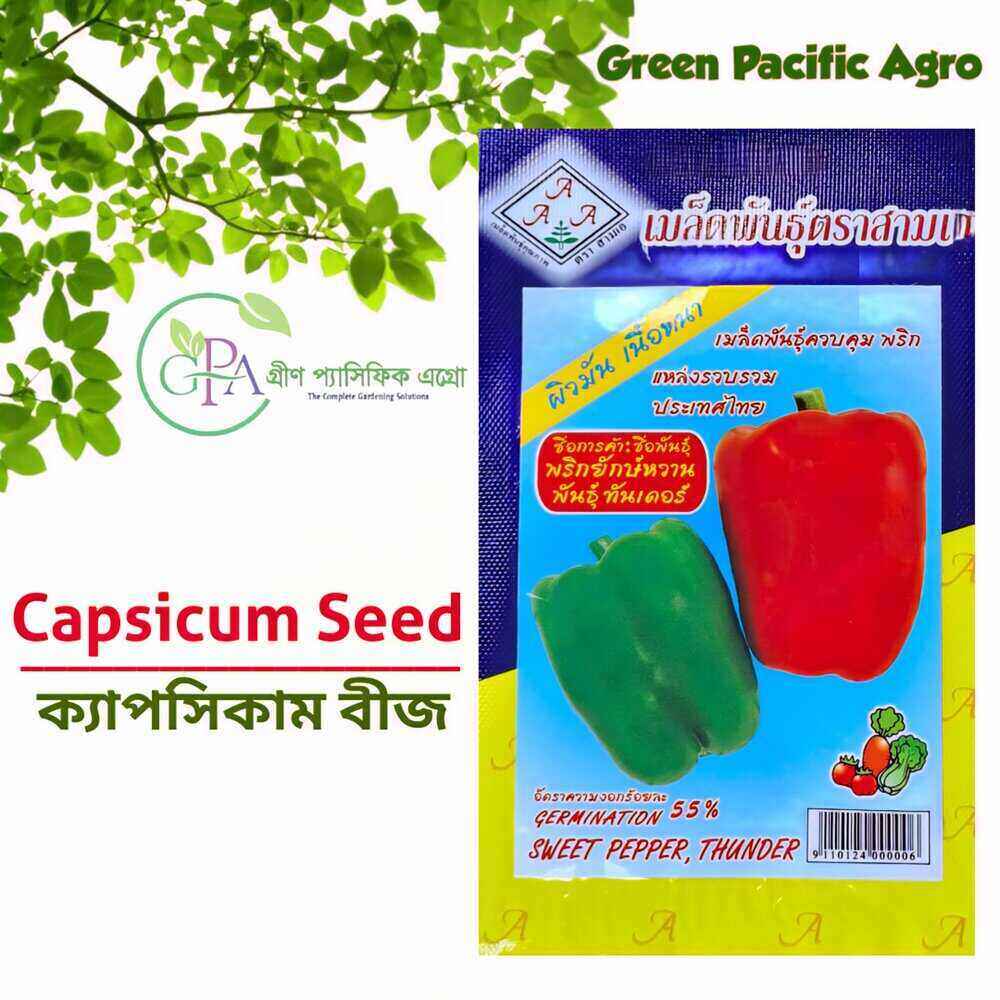 Capsicum Seed