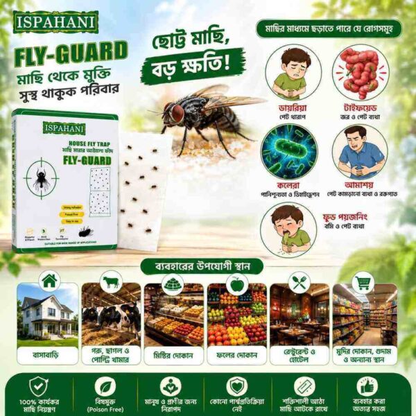 House Fly Trap (মাছি মারার আঠালো ফাঁদ) - Fly Guard
