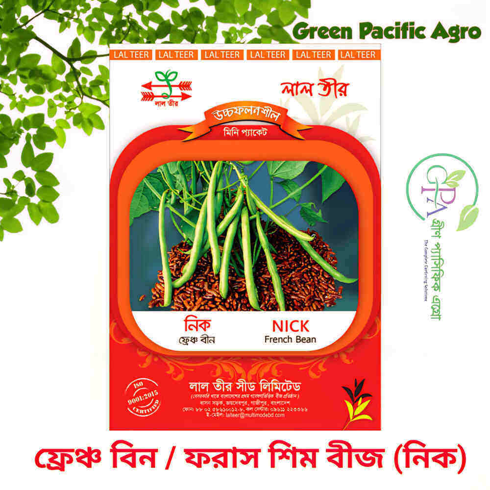 ফ্রেঞ্চ বিন
