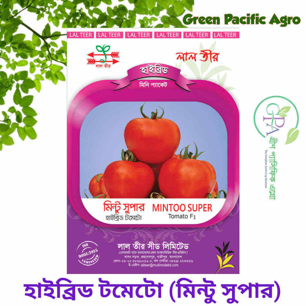 মিন্টু সুপার টমেটো