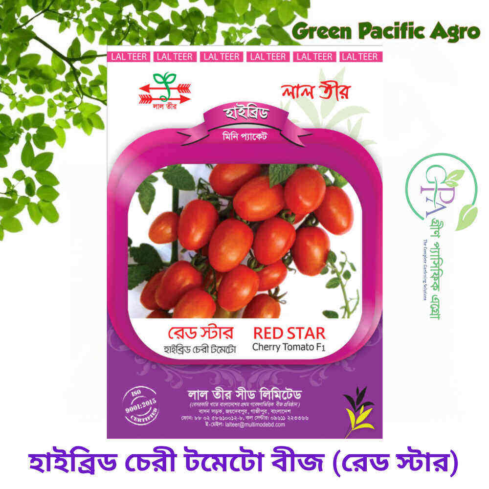 রড স্টার চেরী টমেটো