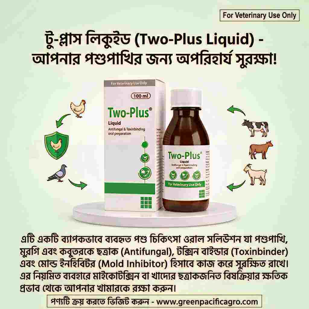 Two plus